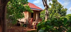 Aed väljaspool majutusasutust Tree Trails Homestay & Offers Jungle Trekk-Scooter For Rental