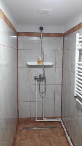La salle de bains est pourvue d'une douche et d'une étagère murale. dans l'établissement Family&Friends, à Ceahlău
