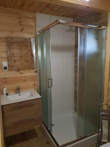 Domek Na Roztoczu في توماسزو لوبليسكي: حمام مع دش ومغسلة