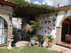Vonkajšia záhrada v ubytovaní Casa de Campo con Piscina en Sevilla en los Palacios y Villafranca