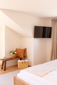 TV a/nebo společenská místnost v ubytování Winzer Appartements Kogler