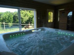 eine Whirlpool-Badewanne mit Blick auf ein Huhn in der Unterkunft Studio Saint-André-d'Apchon, 1 pièce, 2 personnes - FR-1-496-23 in Saint-André-dʼApchon