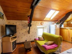een woonkamer met een groene bank en een tv bij Gîte Doissat, 5 pièces, 8 personnes - FR-1-616-22 in Doissat