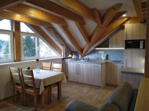 Kuchyň nebo kuchyňský kout v ubytování APARTMÁNY NA VÝSLUNÍ