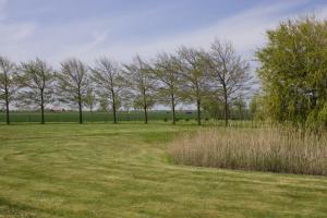a field of grass with trees in the background at Hoeve Hofwijk in Kamperland