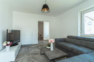 ein Wohnzimmer mit einem Sofa und einem TV in der Unterkunft Julian Manor apartments in Bovec