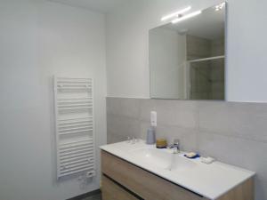 La salle de bains est pourvue d'un lavabo et d'un miroir. dans l'établissement Appartement Saint-Genest-Malifaux, 2 pièces, 2 personnes - FR-1-496-228, à Saint-Genest-Malifaux