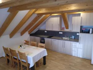 Kuchyň nebo kuchyňský kout v ubytování APARTMÁNY NA VÝSLUNÍ