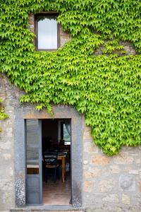 a building with green ivy growing on the side of it at Acqua di Civita Beauty & Rooms in Mercatello in Bagnoregio