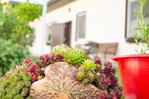 Vonkajšia záhrada v ubytovaní Ferienwohnung Casa Flora
