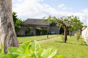 Vonkajšia záhrada v ubytovaní Ferienwohnung Casa Flora
