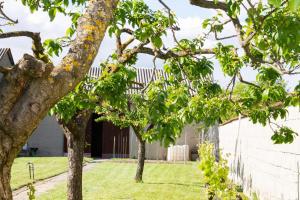 Vonkajšia záhrada v ubytovaní Ferienwohnung Casa Flora