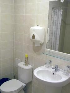 a bathroom with a toilet and a sink at Kambarių nuoma - Rumšiškės SAURIDA in Rumšiškės