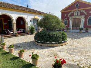 Vonkajšia záhrada v ubytovaní Casa de Campo con Piscina en Sevilla en los Palacios y Villafranca
