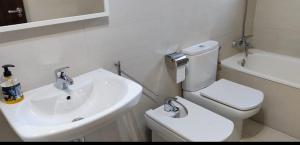 a bathroom with a white toilet and a sink at CHECK-IN CASAS Labert in Benasque