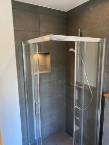 a shower with a glass door in a bathroom at Zentrale und schöne Ferienwohnung in Lübeck