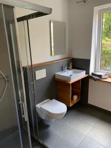 W łazience znajduje się toaleta, umywalka i prysznic. w obiekcie Zentrale und schöne Ferienwohnung w Lubece