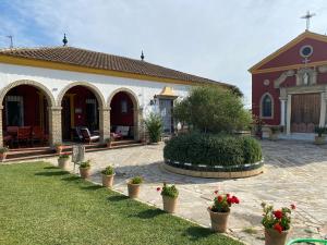 Vonkajšia záhrada v ubytovaní Casa de Campo con Piscina en Sevilla en los Palacios y Villafranca