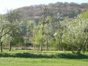 un campo con árboles y una colina al fondo en Gîte Halles-sous-les-Côtes, 4 pièces, 6 personnes - FR-1-585-5, 