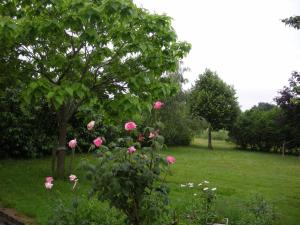 um grupo de rosas cor-de-rosa num campo verde em Gîte Argenton-sur-Creuse, 7 pièces, 12 personnes - FR-1-591-209 em Argenton-sur-Creuse