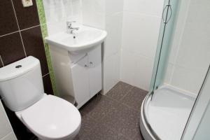 a bathroom with a toilet and a sink and a shower at Belye Rosy in Belgorod