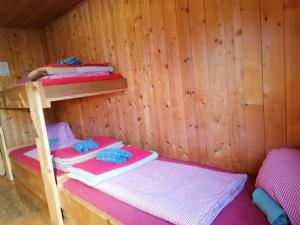 Krevet ili kreveti u jedinici u okviru objekta Binsalm- Schutzhütte