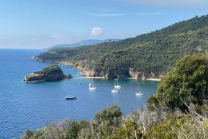 濱海里約的住宿－Appartamento sul Mare a Rio Marina, Isola d'Elba，一群船在水体中