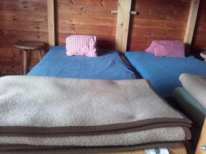 Krevet ili kreveti u jedinici u okviru objekta Binsalm- Schutzhütte