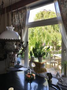 a kitchen with a large window and a table with a plant at De Zilvermeeuw in Westenschouwen