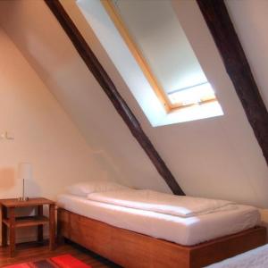 Bett in einem Zimmer mit Dachfenster in der Unterkunft Bokun Apartments I in Sisak
