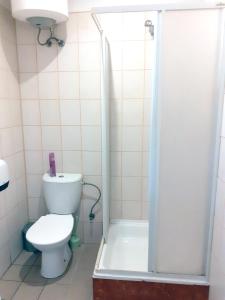 uma casa de banho com um WC e um chuveiro com uma cortina de chuveiro em Kambarių nuoma - Neveronys SAURIDA em Neveronys