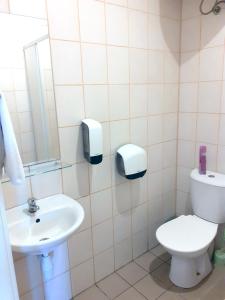 bagno con servizi igienici e lavandino di Kambarių nuoma - Neveronys SAURIDA a Neveronys