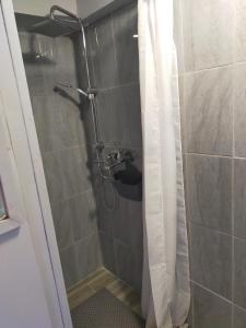 a shower in a bathroom with a glass door at Iza-pokoje do wynajecia in Wisełka