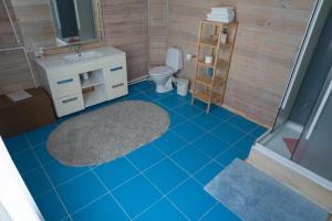 a bathroom with a blue tiled floor and a toilet at Usadba Zhemchuznaya in Cheboksary