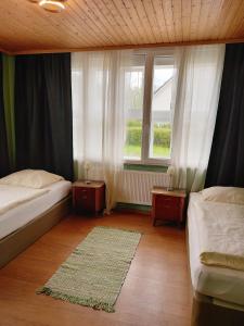 1 Schlafzimmer mit 2 Betten, einem Fenster und einem Teppich in der Unterkunft Hostel in Böhlen