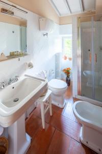 ein Bad mit einem Waschbecken, einem WC und einer Dusche in der Unterkunft Locanda Quattro Vesta in San Casciano dei Bagni
