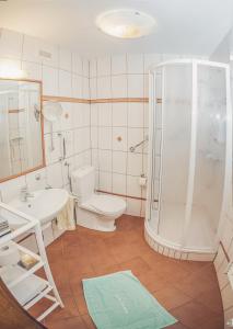 a bathroom with a shower and a toilet and a sink at Landhotel Neugebauer in Löllinggraben