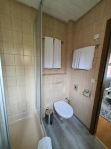 a bathroom with a toilet and a shower at Gästehaus und Café Zur Silbernen Kanne in Rothenburg ob der Tauber