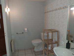 La salle de bains est pourvue de toilettes et d'un lavabo. dans l'établissement Le Domaine Leylandy, à Saint-Sulpice-de-Royan