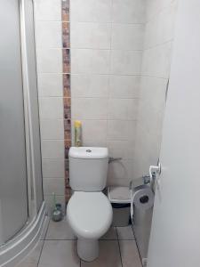 a small bathroom with a toilet and a shower at Kambarių nuoma - Šiauliai SAURIDA in Šiauliai