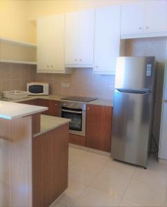 eine Küche mit einem Kühlschrank aus Edelstahl und Holzschränken in der Unterkunft T&E Apartment in Larnaka