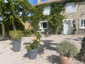 a house with three potted plants in front of it at Appt 2 pieces dans Mas provençal in Roquemaure