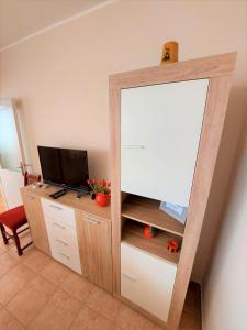 TV a/nebo společenská místnost v ubytování Apartment Big Lasan