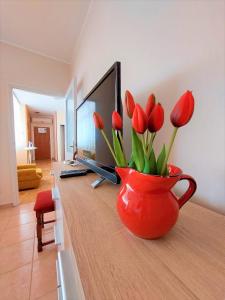TV a/nebo společenská místnost v ubytování Apartment Big Lasan