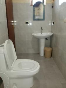 ein Badezimmer mit einem weißen WC und einem Waschbecken in der Unterkunft Lucy Guest House (B&B) in Addis Abeba