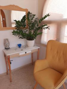 a desk with a chair and a mirror and a plant at Asteri Hotel in Ornos