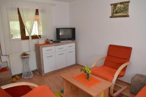 ein Wohnzimmer mit einem TV, einem Stuhl und einem Tisch in der Unterkunft Vikend kuca Stefana in Šljivovica