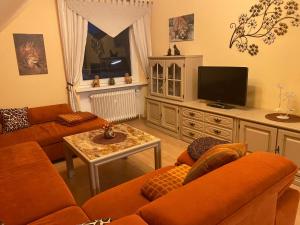 sala de estar con sofás naranjas y TV en Steinberg-Blick, en Herzberg am Harz