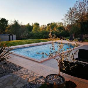 una piscina en un patio con una maceta en Apartman Nikola, en Ladrovići