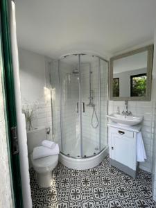 a bathroom with a shower and a toilet and a sink at Robinson house Leticia in Čunski